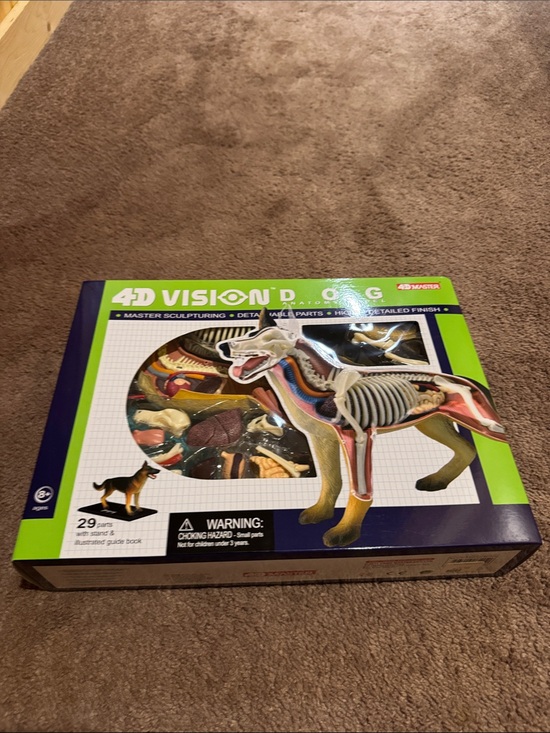 4D Vision Other - 4D Vision Dog Anatomy Model Kit - Green Box